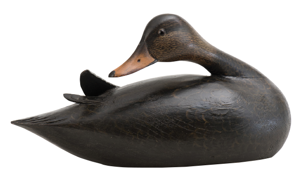 Shelburne Museum Black Duck