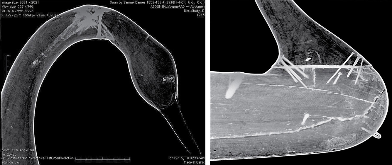 Shelburne Museum Xray