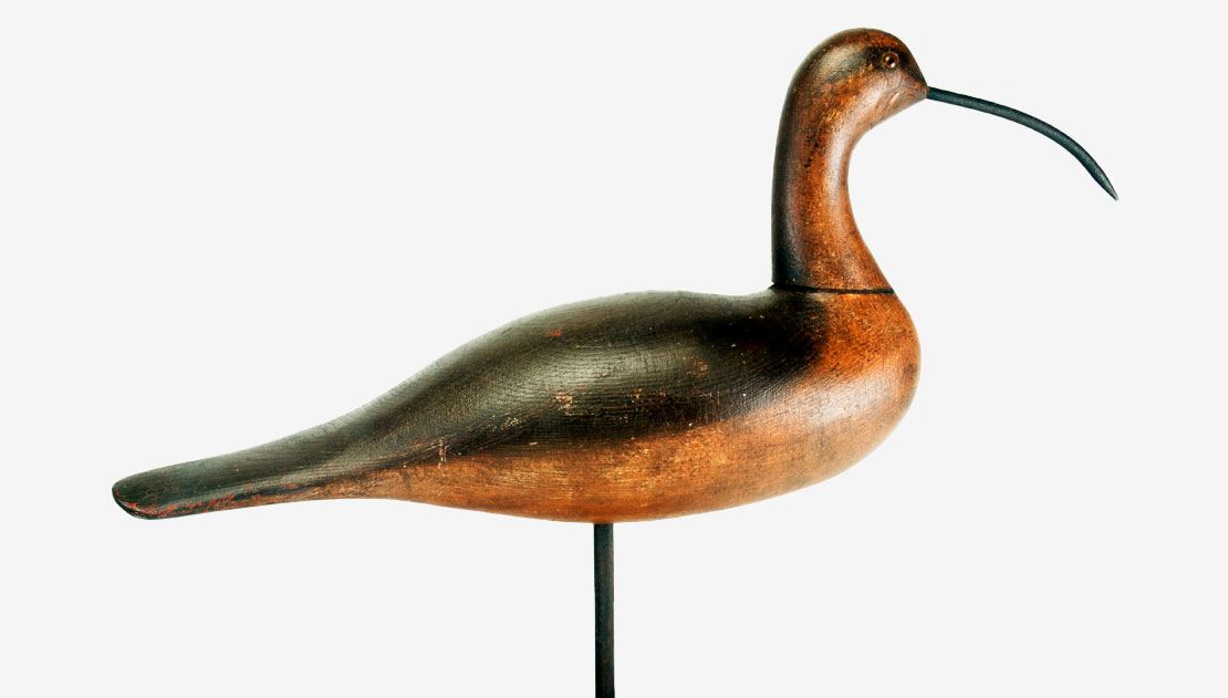 Mason Glasseye Curlew