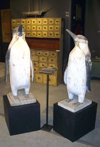 Charles Hart's Penguins